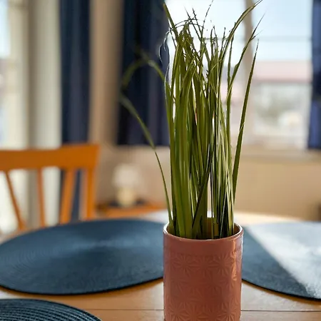 公寓 Duenenblick 24 *